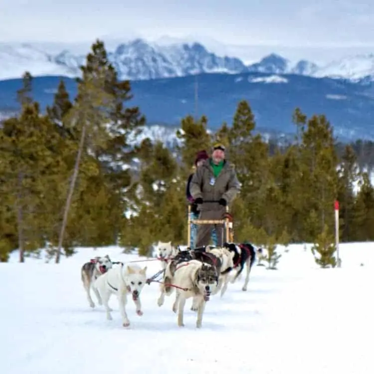 dog sledding in colorado