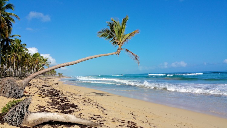 macau beach punta cana