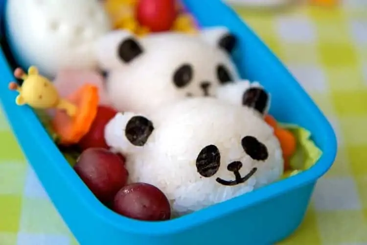 panda rice balls bento box lunch 8