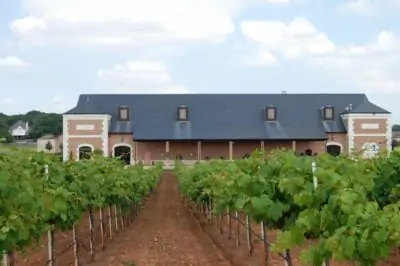 Delaney Vineyards