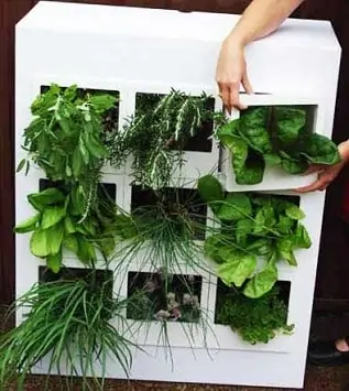 Let Your Green Thumb Flourish Even In The Smallest Spaces