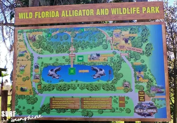 wild florida airboat rides