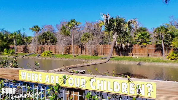 wild florida airboat rides