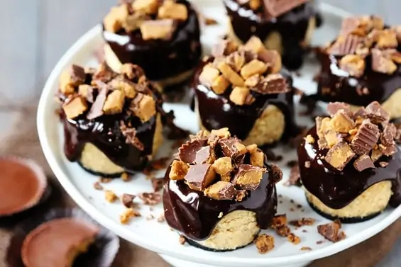 reeces-cheesecakes-11