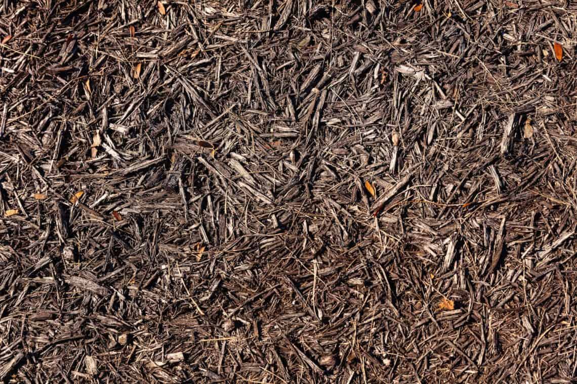 eucalyptus mulch