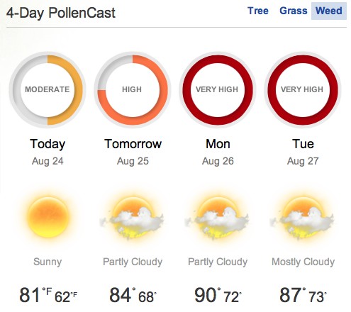 Pollen Forecast