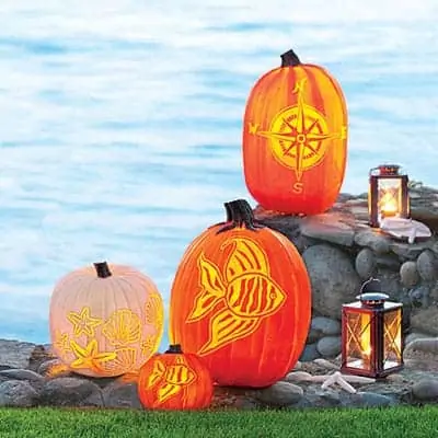 seashell fish and compass pumpkin template