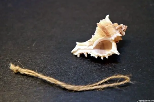 diy seashell ornaments 2