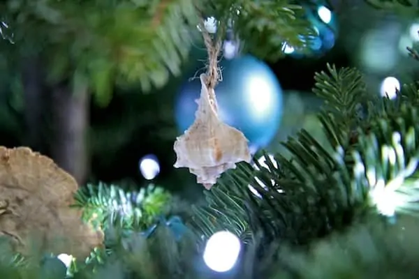 diy seashell ornaments