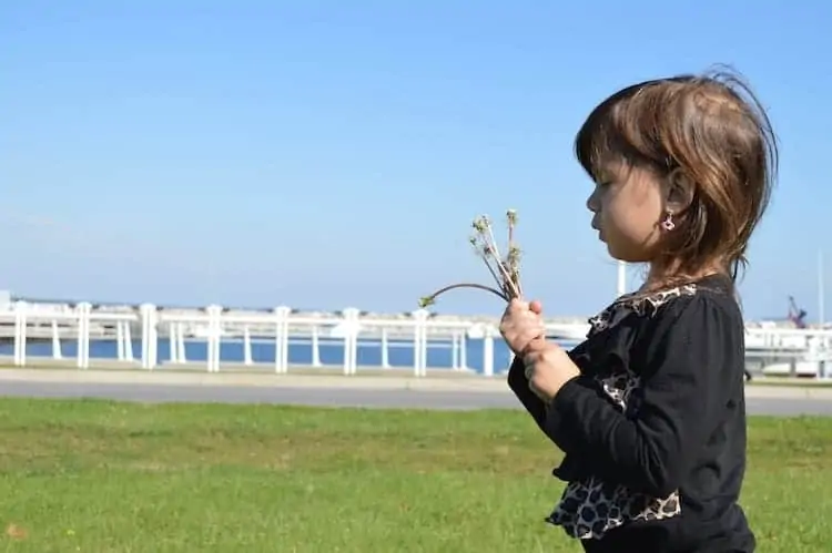 Girl With Flower