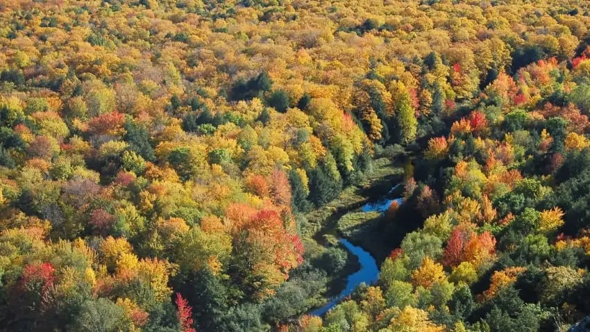 michigan fall colors tour