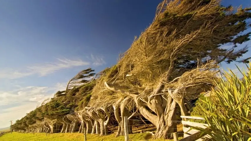 slope point new zealand