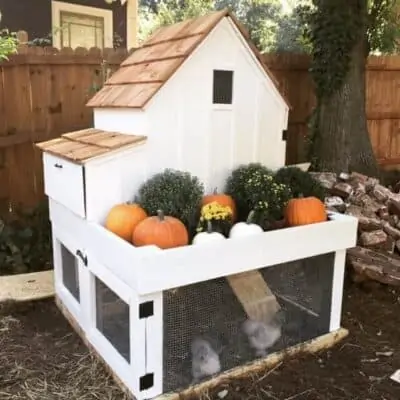 Free Chicken Coop Plans 12