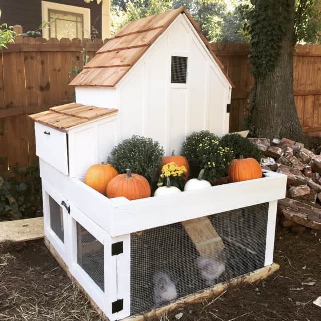 Split level chicken coop plans with storage area. Free DIY Chicken Coop Plans.