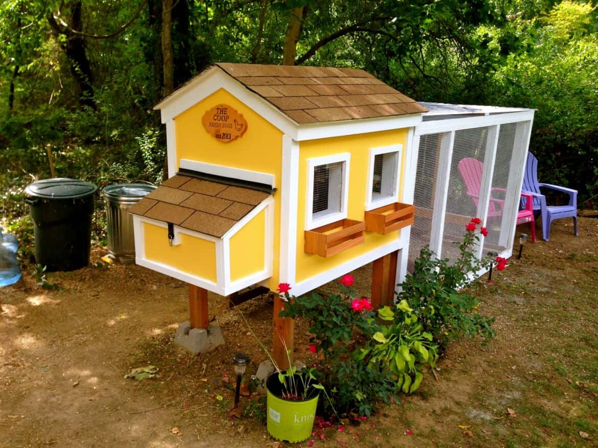 Free DIY Chicken Coop Plans