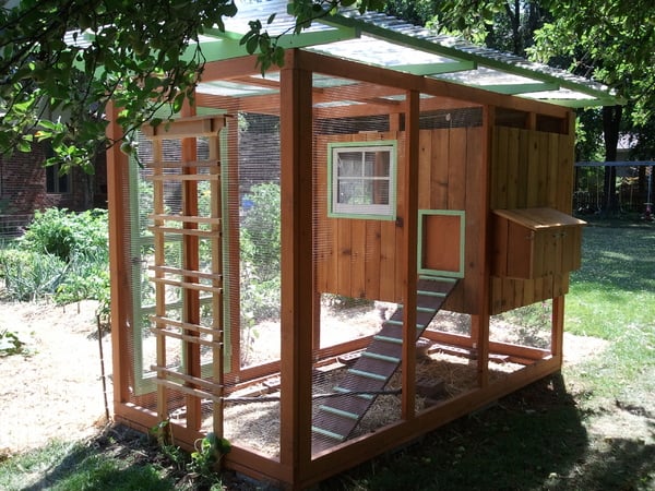 Free DIY Chicken Coop Plans