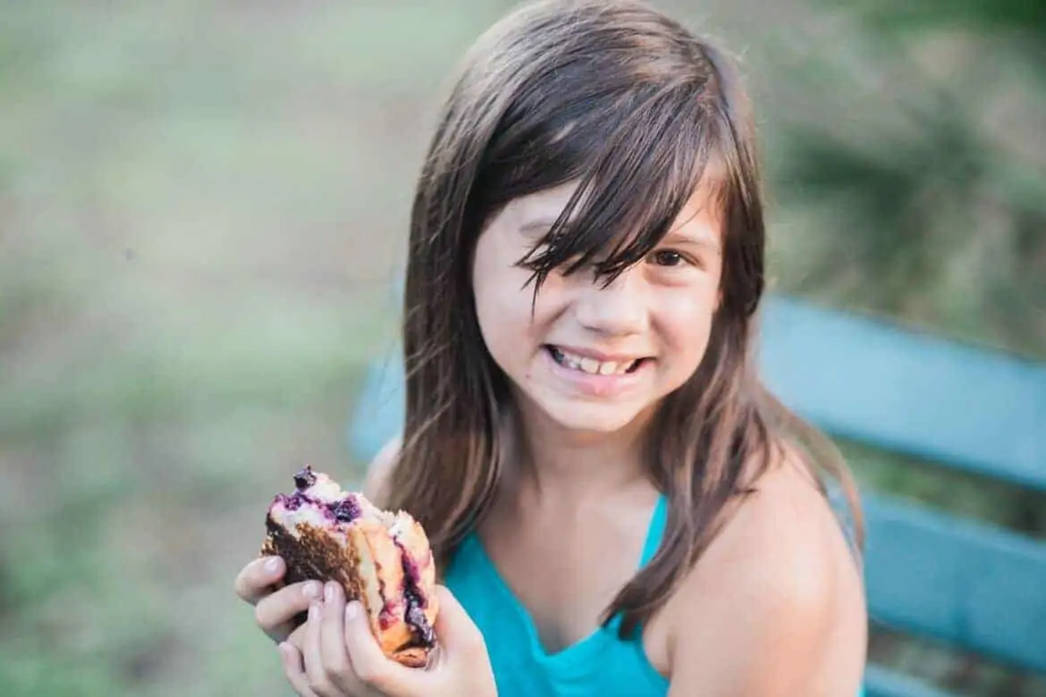 blueberry grilled cheese sandwich recipe