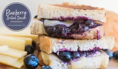 Grilled Cheese With Blueberries Sandwich Recipe-15