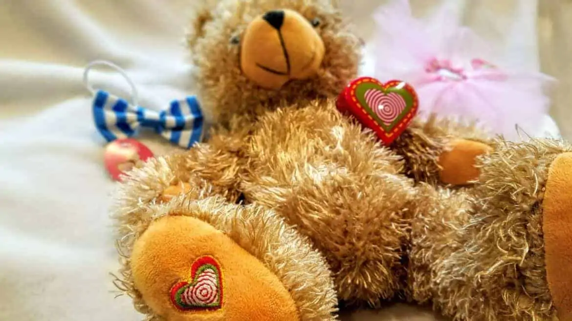 My Baby’s Heartbeat Bear 