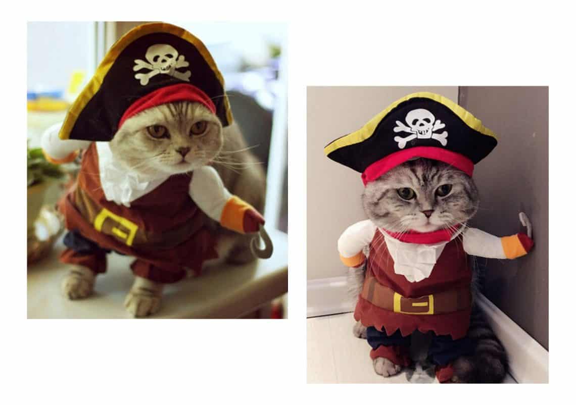 awesome halloween costumes for pets