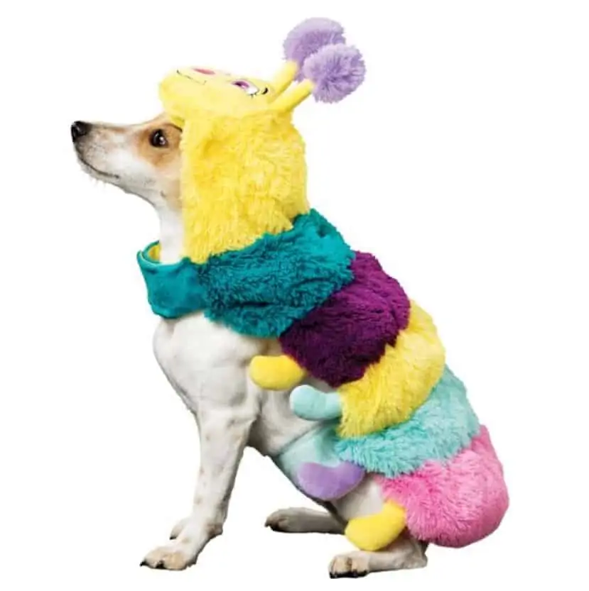 halloween costumes for pets