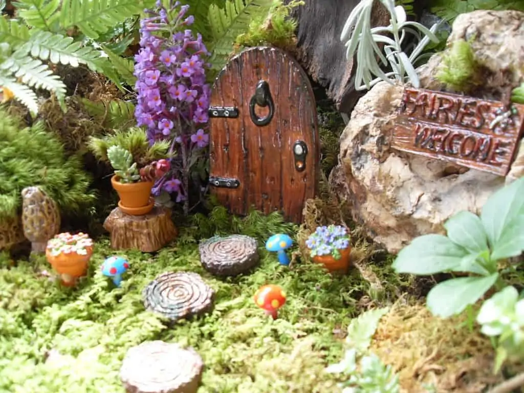 fairy garden