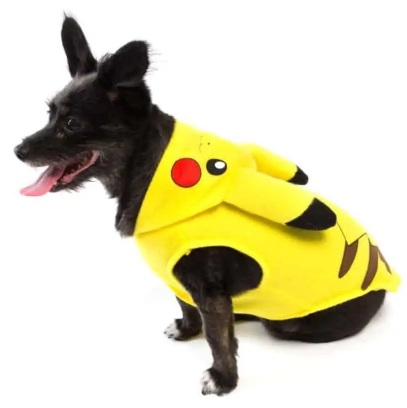 halloween costumes for pets