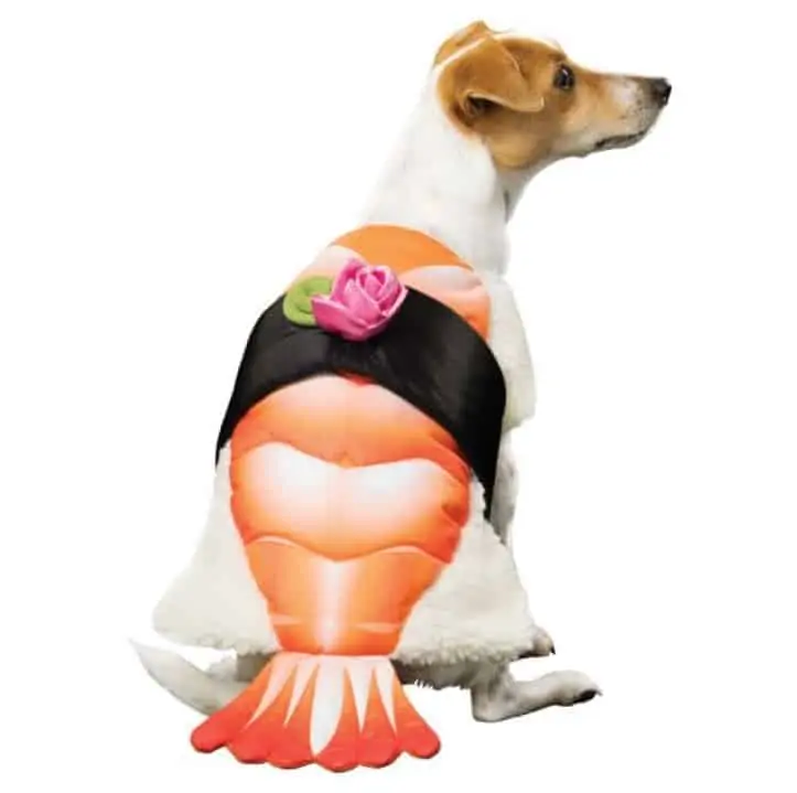 awesome halloween costumes for pets