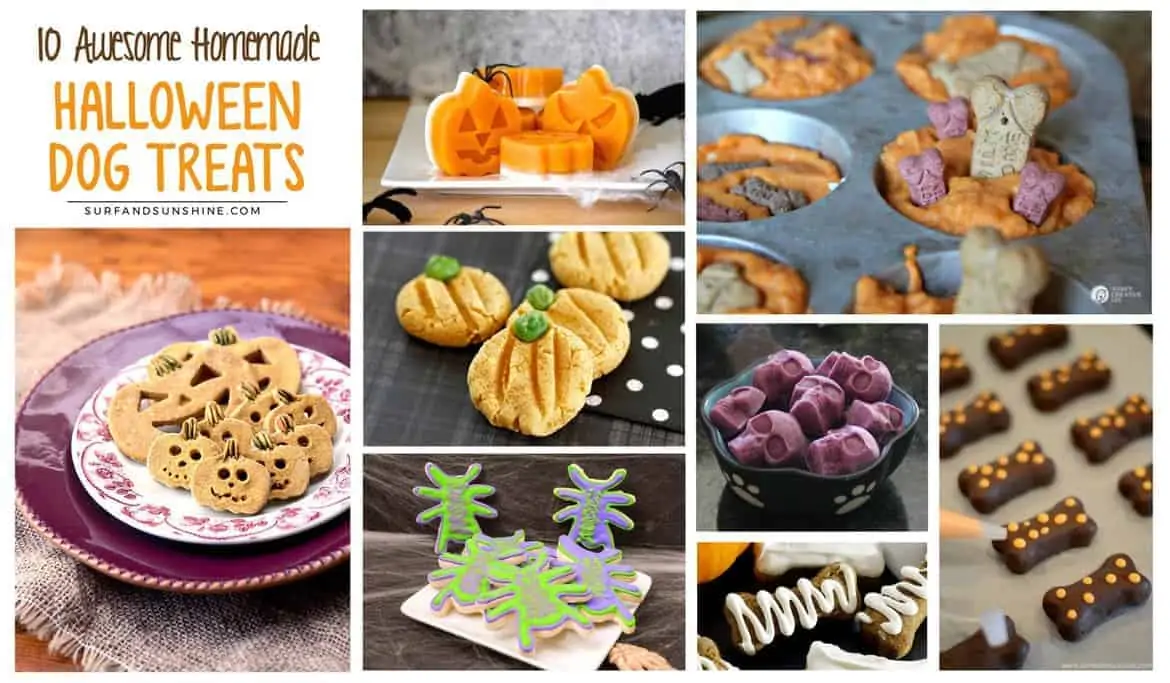 DIY Halloween Dog Treats