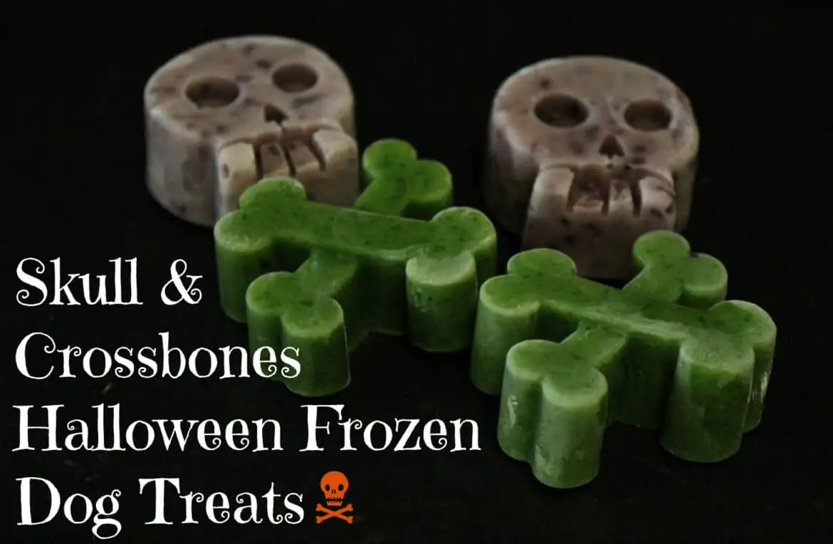 DIY Halloween Dog Treats