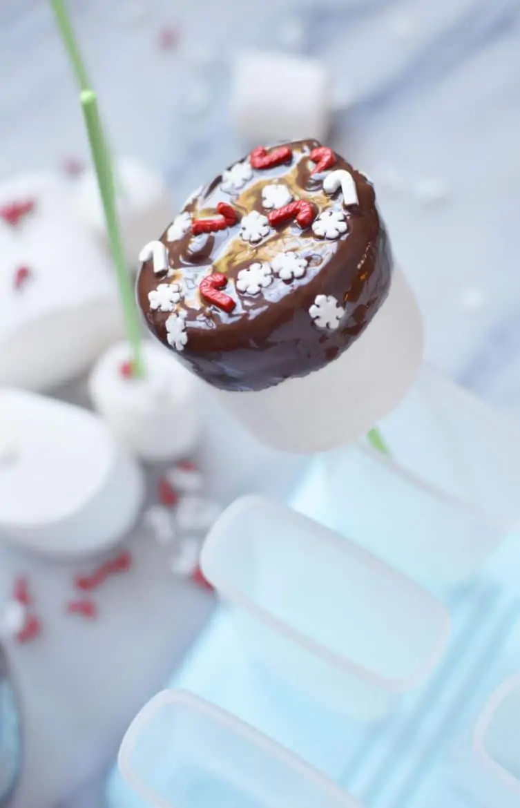 christmas chocolate dipped marshmallows