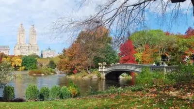 camping in NYC central park