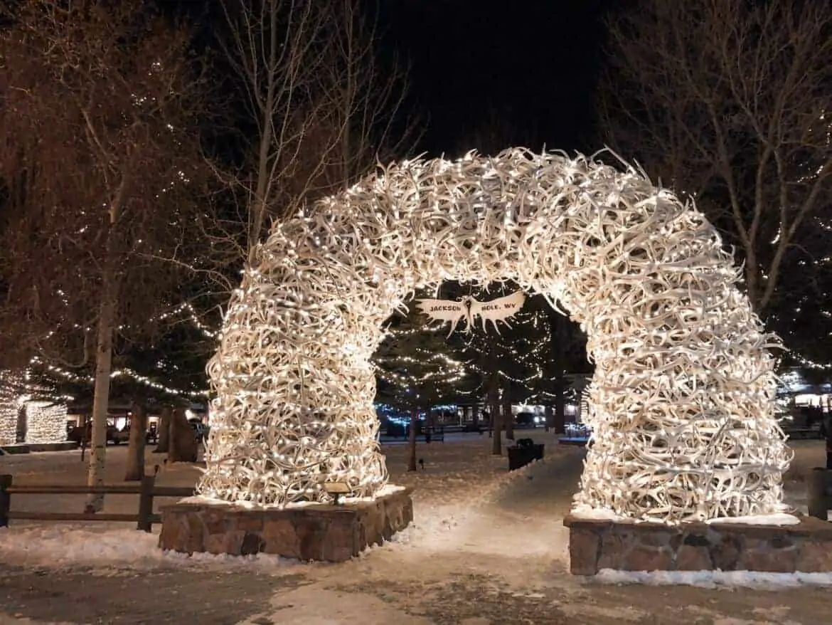 jackson hole antlers