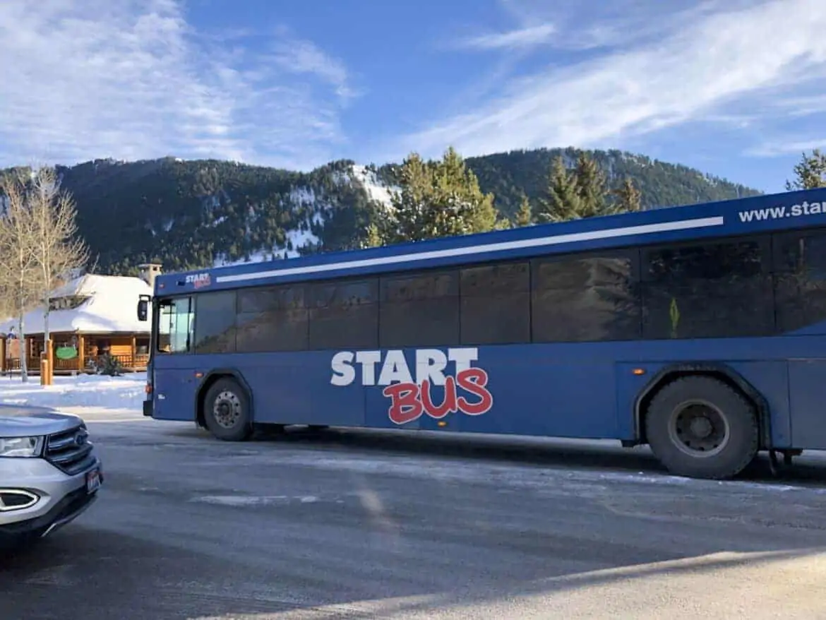 jackson start bus