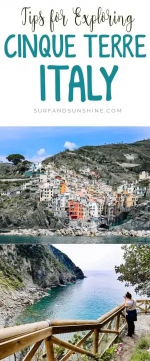 cinque terre towns pin