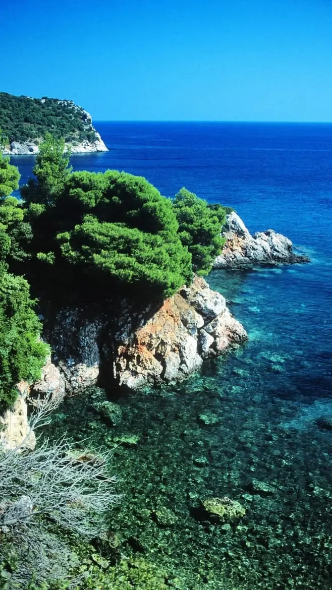 skopelos greece pine forests