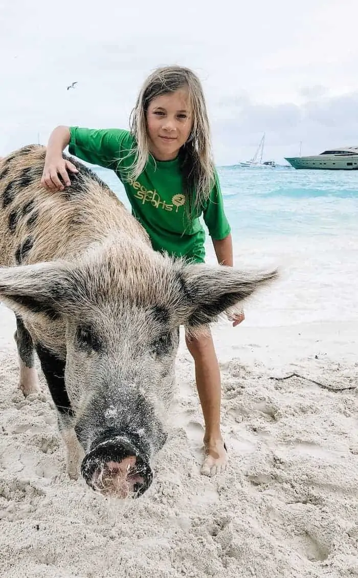 swimming pigs exuma bahamas