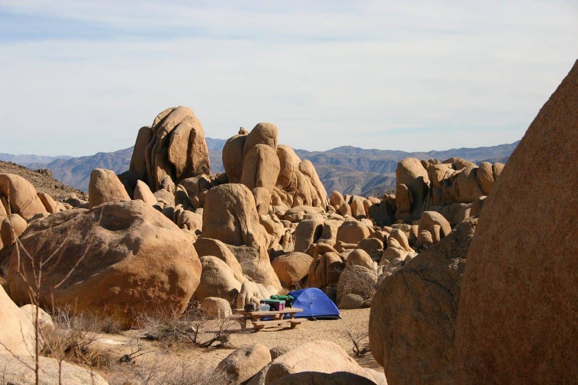 Joshua Tree Camping