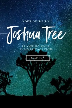 Things to do in Joshua Tree - a guide for planning your summer vacation