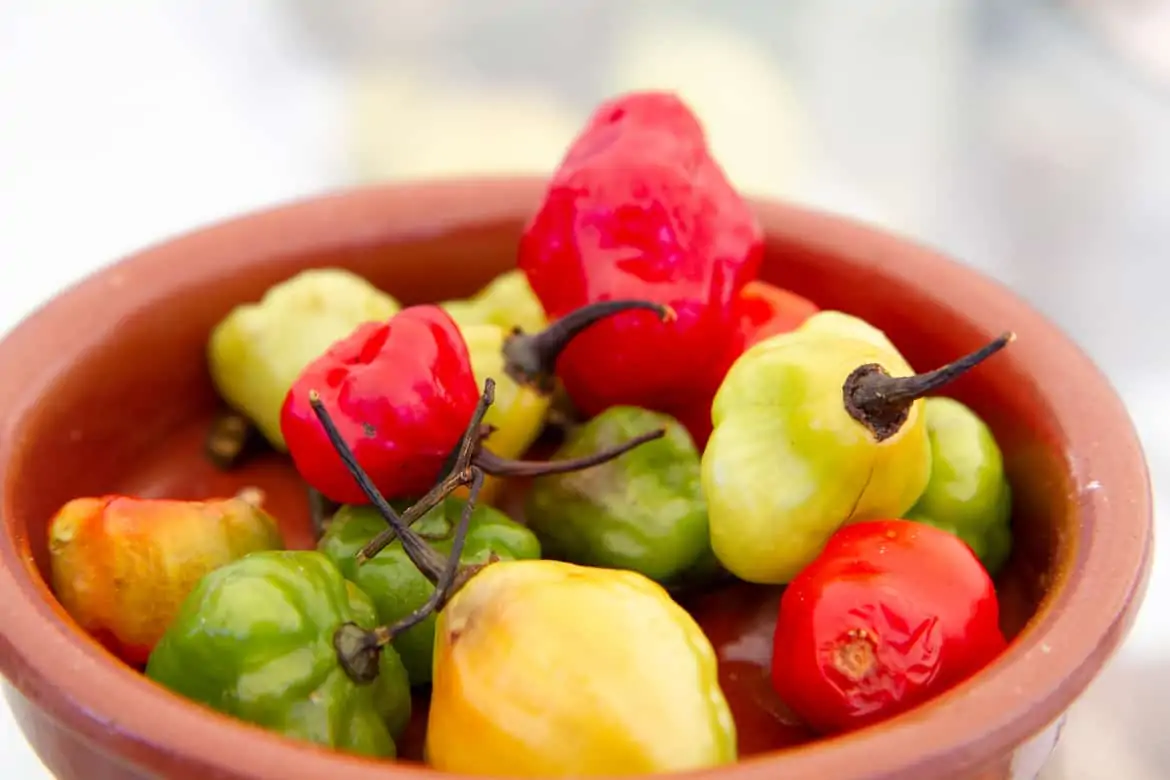 Ajíes dulces pepper for puerto rican sofrito recipe