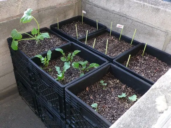 Milk Crate Raised Garden Bed