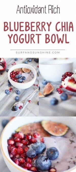 blueberry chia yogurt bowl