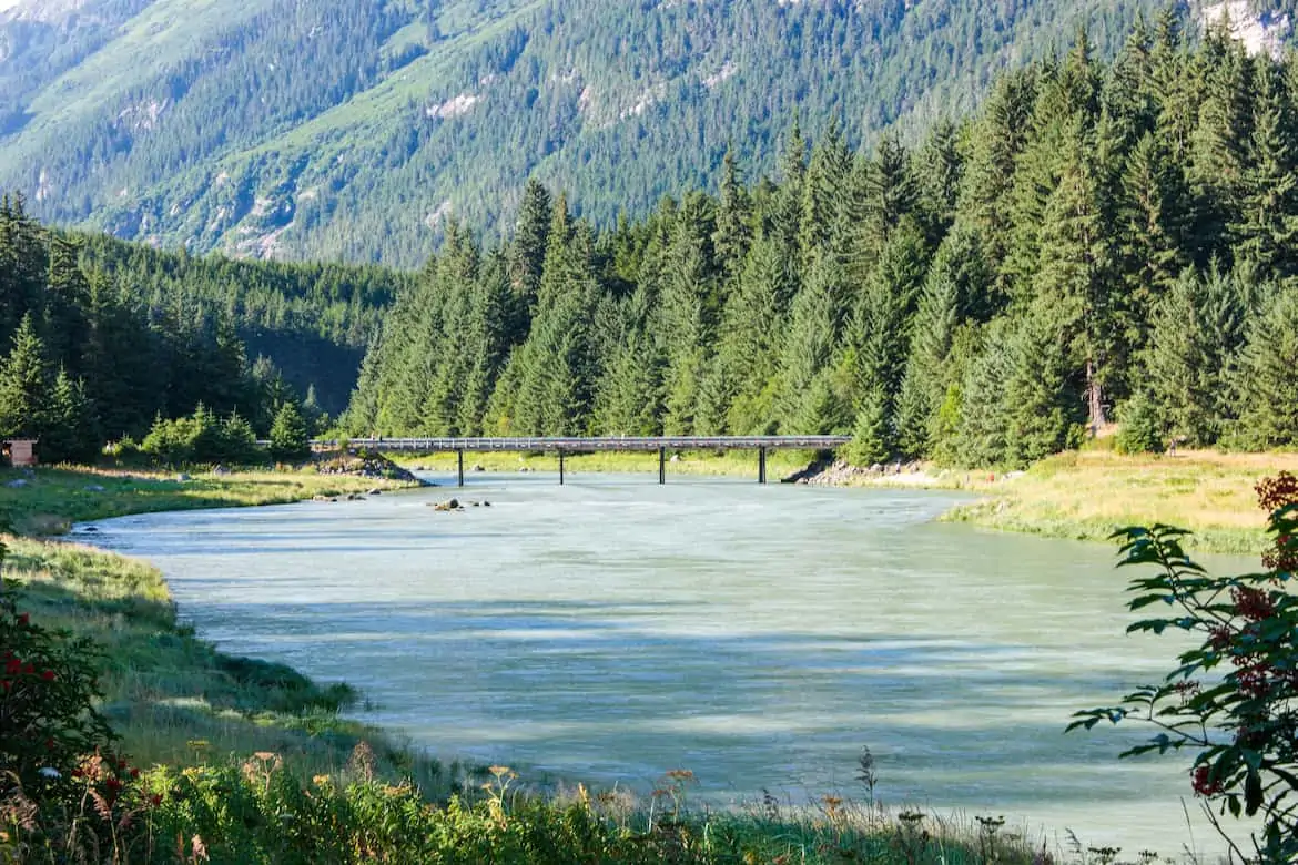 Chilkoot Wildlife Viewing