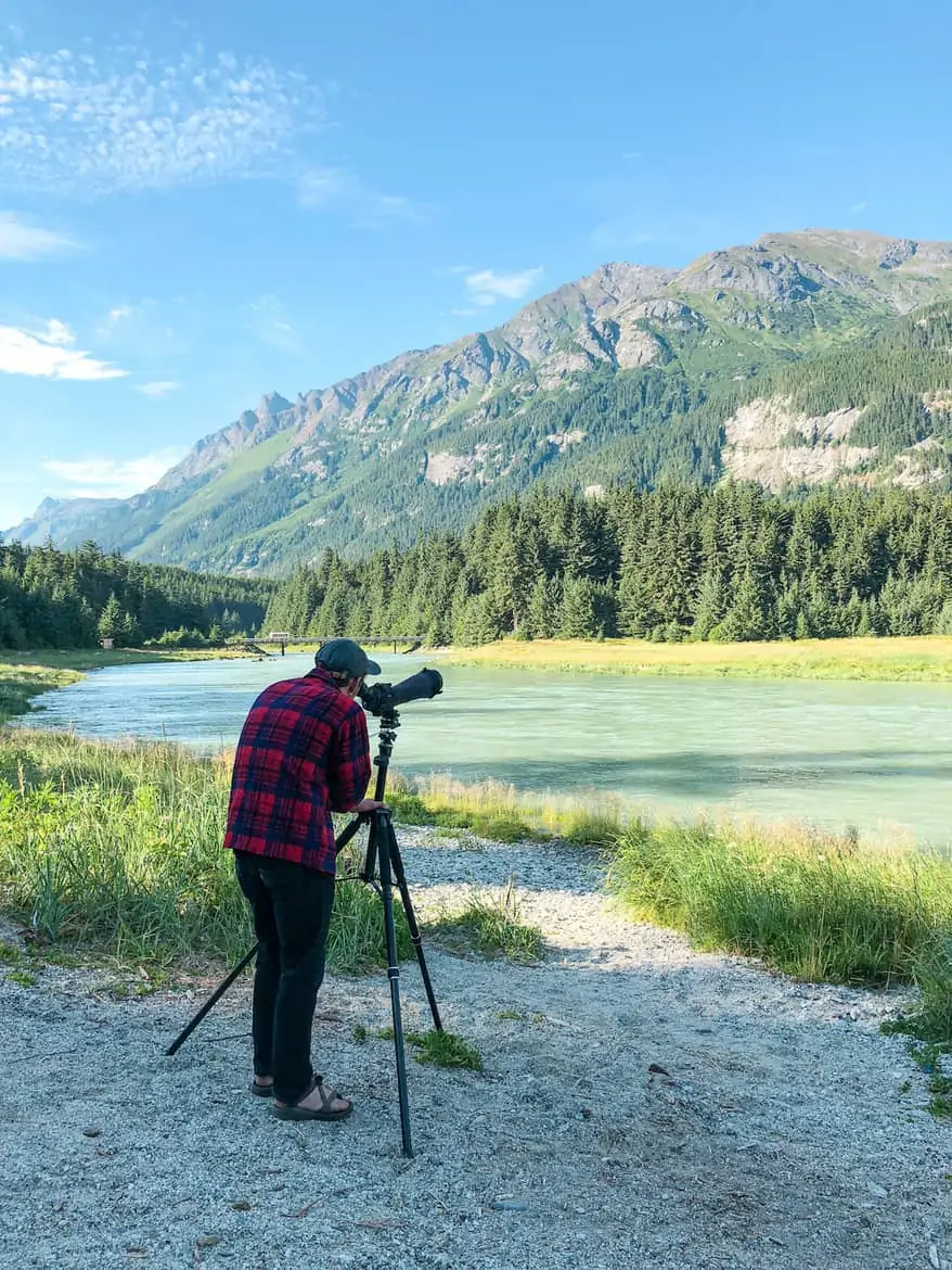 Chilkoot Wildlife Viewing