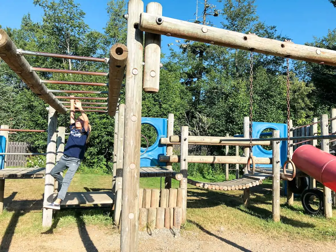 Dalton City Haines Alaska playground