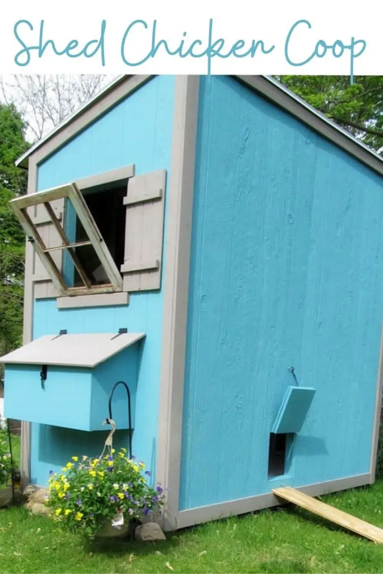 shed chicken coop plans