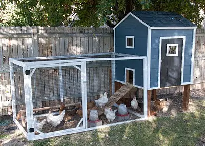 blue chicken coop diy