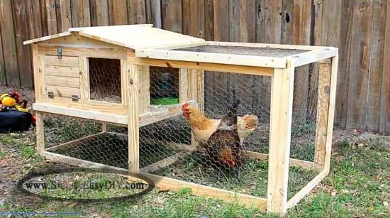 small chicken coop plans