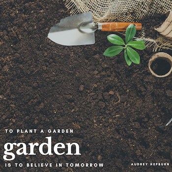 surf and sunshine gardening