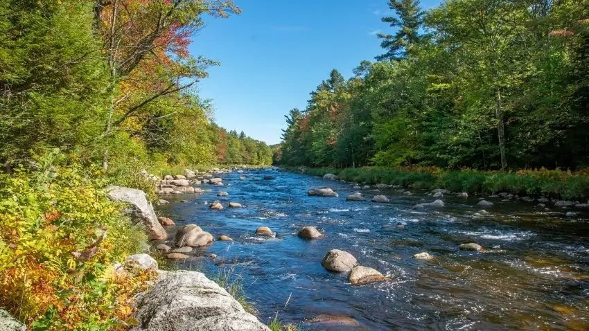 Adirondack Mountains fall foliage